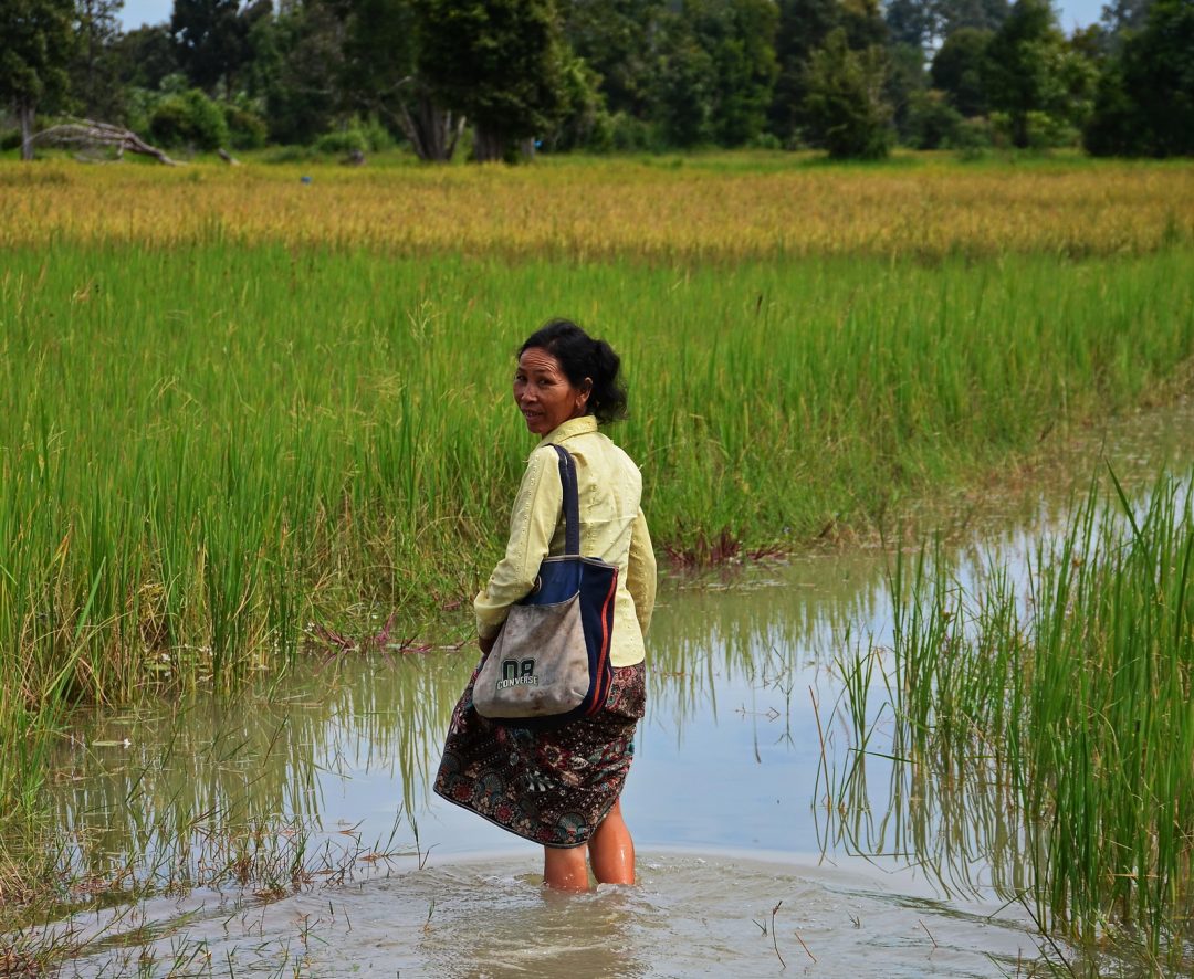 Our helpful guide from Samrong Village