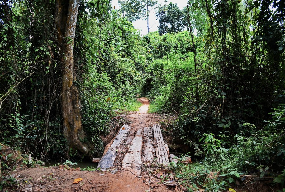One of the better sections - trail to Banteay Ampil