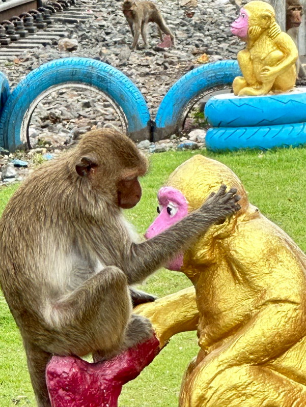 At the right time and place - they can even be quite cute!