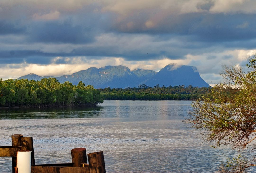The Sarawak River Estuary near Kuching