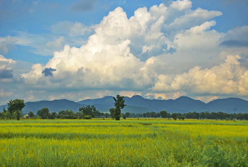 Landscape of the lower north's Nakhon Sawan during the rainy season