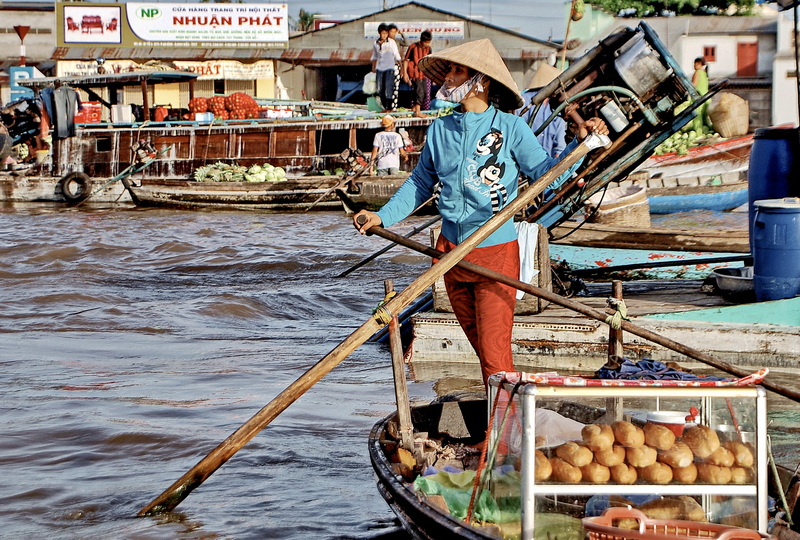 Vietnamese baguette sandwiches or banh mi