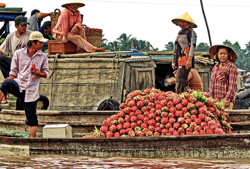 Dragon fruit vendor, Cai Rang